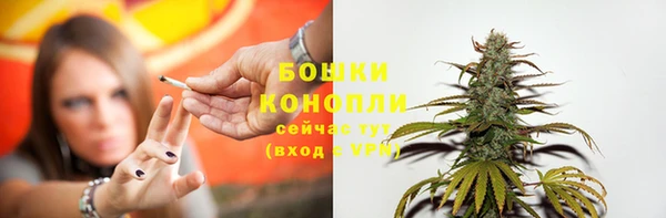СК Аркадак