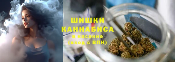 СК Аркадак