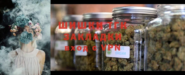 СК Аркадак